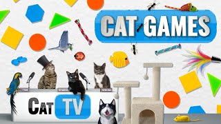 Mga Laro ng Pusa | Pinakamataas na Cat TV Compilation Vol 68 | 2 ORAS 🐝🐞🦋🦎🦜🐜🐭🧵 screenshot 3