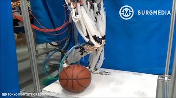 Musculoskeletal Lower Limb Robot driven by Multifilament Muscles Resembles a Human’s Movements