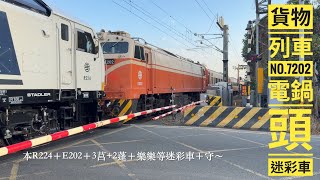 2025/12/23 田中站北7202次/迷彩車/軍列 #R224 #E202