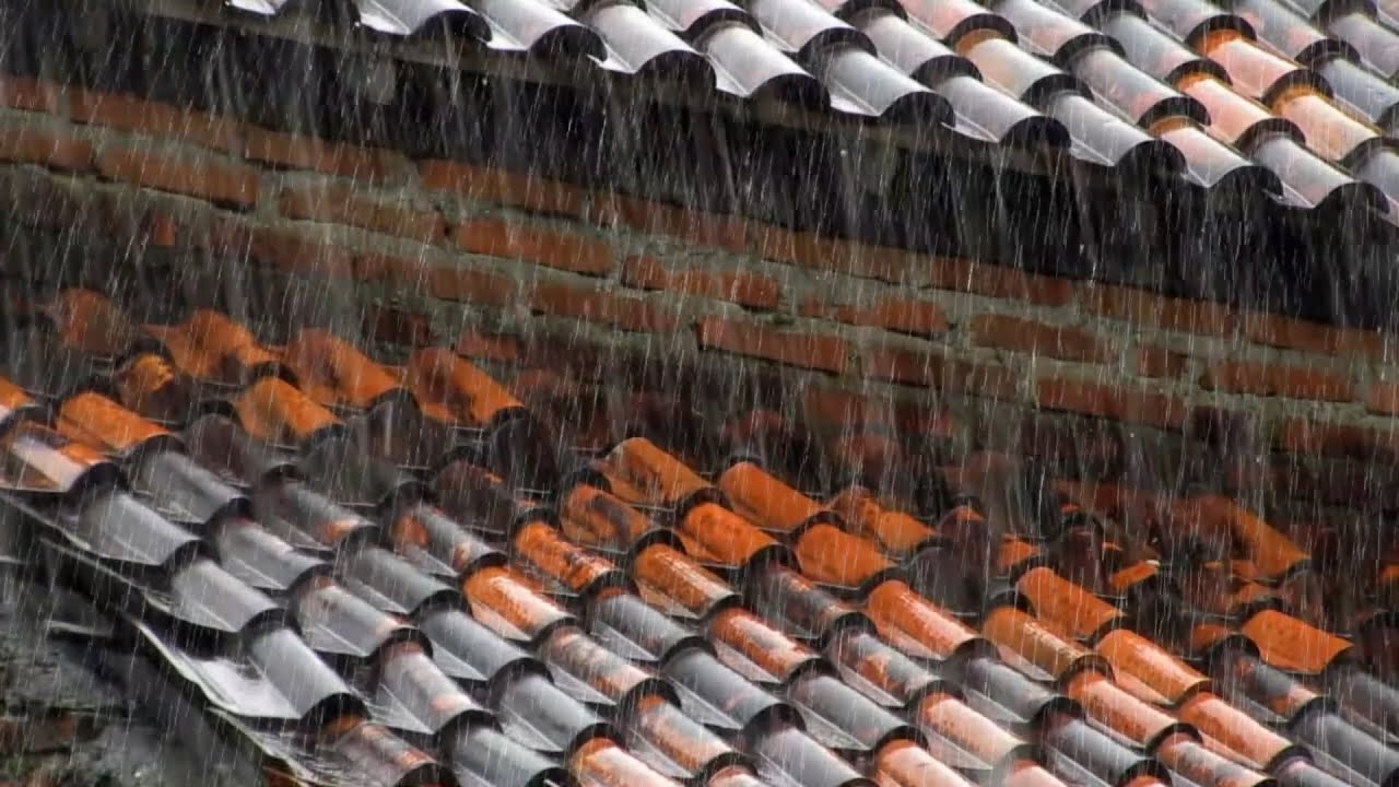 Sleep Sounds Rain No Thunder 🌧️ Rainstorm White Noise 1 Hour for Sleeping, Focus & Relaxation