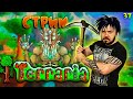 🔥МАСТЕР МОД  Стрим 🔥 Уничтожаем Terraria | Террария 37Black