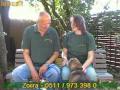 Hundevermittlung - August/September 2010 (Tierheim Hannover TV)