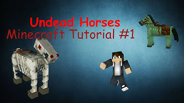 MINECRAFT TUTORIAL HOW TO SUMMON UNDEAD HORSES