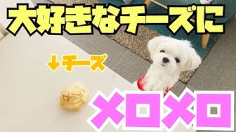 Youtube Youtube