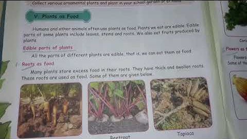 4th std SCIENCE TERM-2 Unit 3-4 (EM)