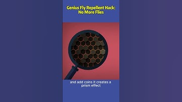 Genius Fly Repellent Hack – No More Flies