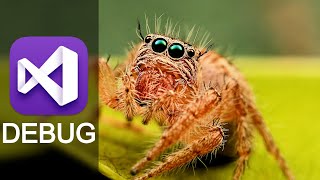 How to DEBUG in Visual Studio (episode 7)