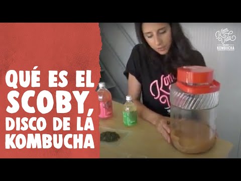 Vídeo: Kombucha: Doctor En El Banco - Vista Alternativa