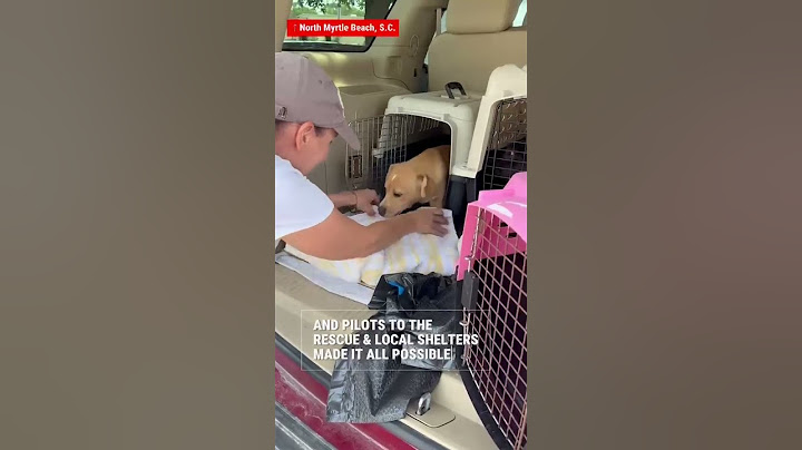 New home: Pilots To The Rescue in NMB