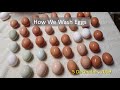 How We Wash Eggs