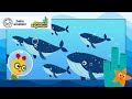 Swimming Home with Humpback Whales Song | NEW Ocean Explorers | Baby Einstein Toddler & Kids Cartoon