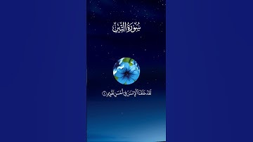 سورة التين تلاوة خاشعة يدخل القلب