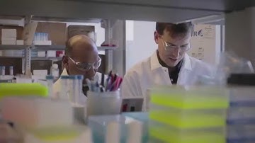 Introducing the Pfizer Partnerships