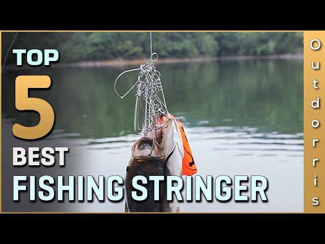 Top 5 Best Fishing Stringers Review in 2023 