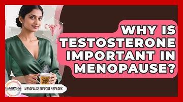 Why Is Testosterone Important In Menopause? - Menopause Support Network