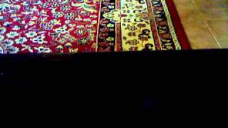 Capture 20110831 3