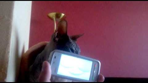 MouthPot, turn your phone into a virtual mouth, for Nokia Symbian, Maemo, Meego