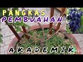 EKSPERIMEN RAMBATAN ANGGUR... !!! PANGKAS PEMBUAHAN ANGGUR AKADEMIK