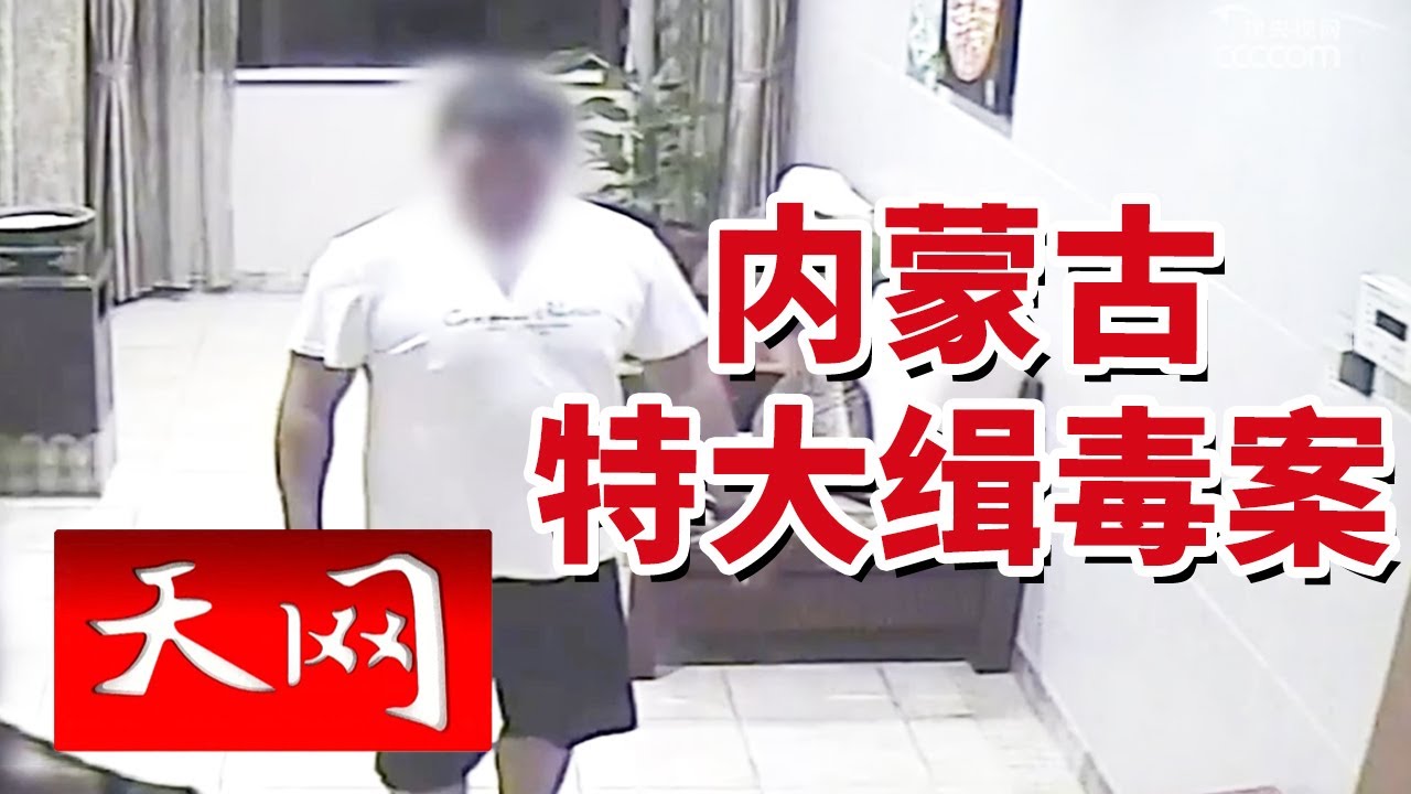 《天网》毒圈界“口碑大王”被捕！零销毒品的嫌犯竟另有身份？20241010