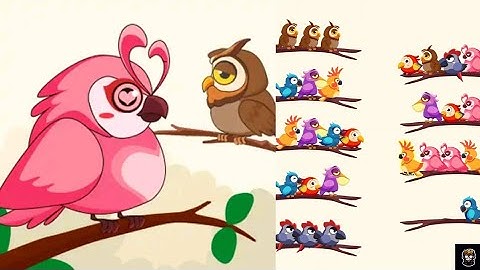Bird Sort Color Puzzle Gameplay Walkthrough
