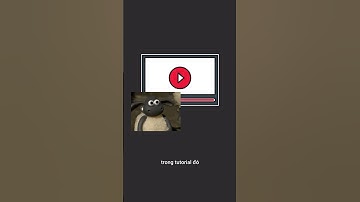 Tại sao bạn vẫn không thể tự code được???