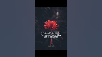 سورة الفاتحة برواية السوسي عن أبي عمرو #الشيخ سالم عبده سالم #القرآن_الكريم #المصحف