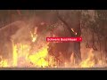 Klima Update: Waldbrände | 24.08.2023