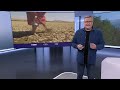 Klima Update: Waldbrände | 24.08.2023