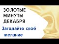 Золотые минуты в конце декабря. Загадайте своё желание.