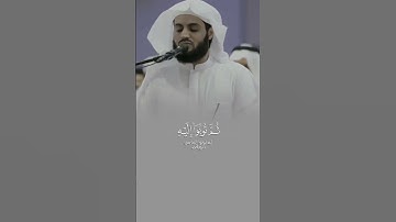 تَفسِير الآيَة ( 51 - 52 ) مِن سُورةِ هُود ، القارِئ رَعد الكردِي ♡ . #سورة_هود #quran #رعد_الكردي
