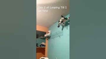 Day 2 of looping till I go viral #loop