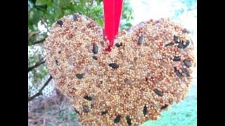 How To Make A Bird Feeder Valentine's Day Heart Craft