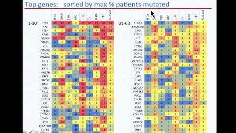 TCGA: Analysis of Somatic Mutations Across Many Tumor Types - Petar Stojanov