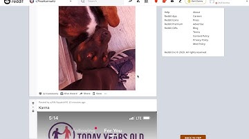 How to Get Free Karma FAST on Reddit