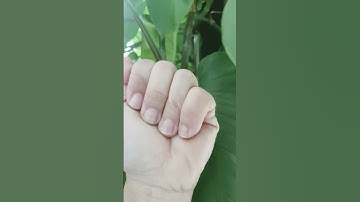 Survival SKills Life Hacks: I have 5 fingers #hand #challenge #fingers #skills #funny #shorts