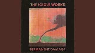 Watch Icicle Works One Good Eye video