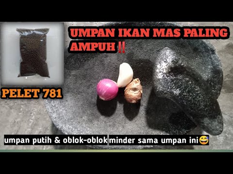 UMPAN AMPUH IKAN MAS MEDIA PELET 781