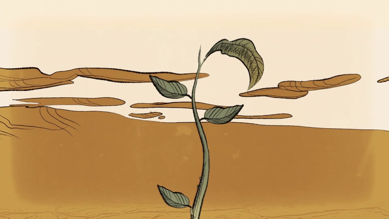 The Young Tree Borderline [OFFICIAL VIDEO 2019] YouTube