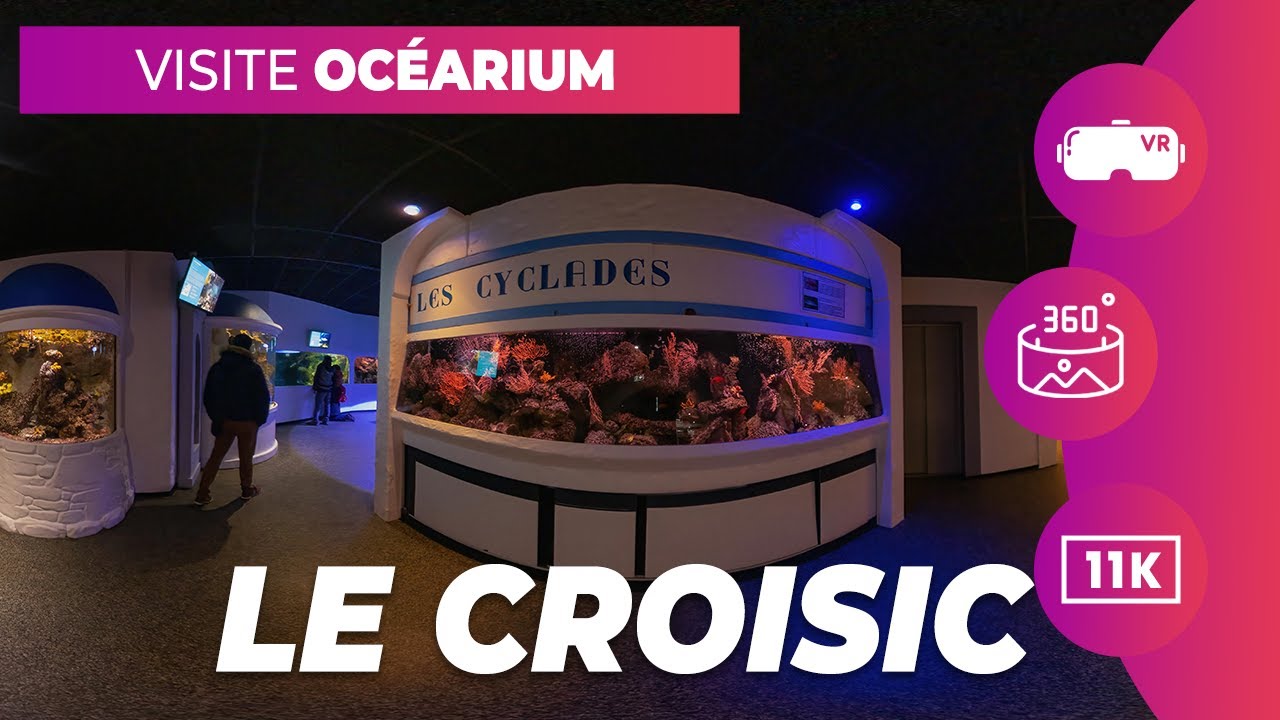 [4K] Plongez En Visite Virtuelle 360° dans l'Océarium Du Croisic  !