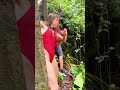 climbing up a tree to dive from it 🐒🌳 #shorts