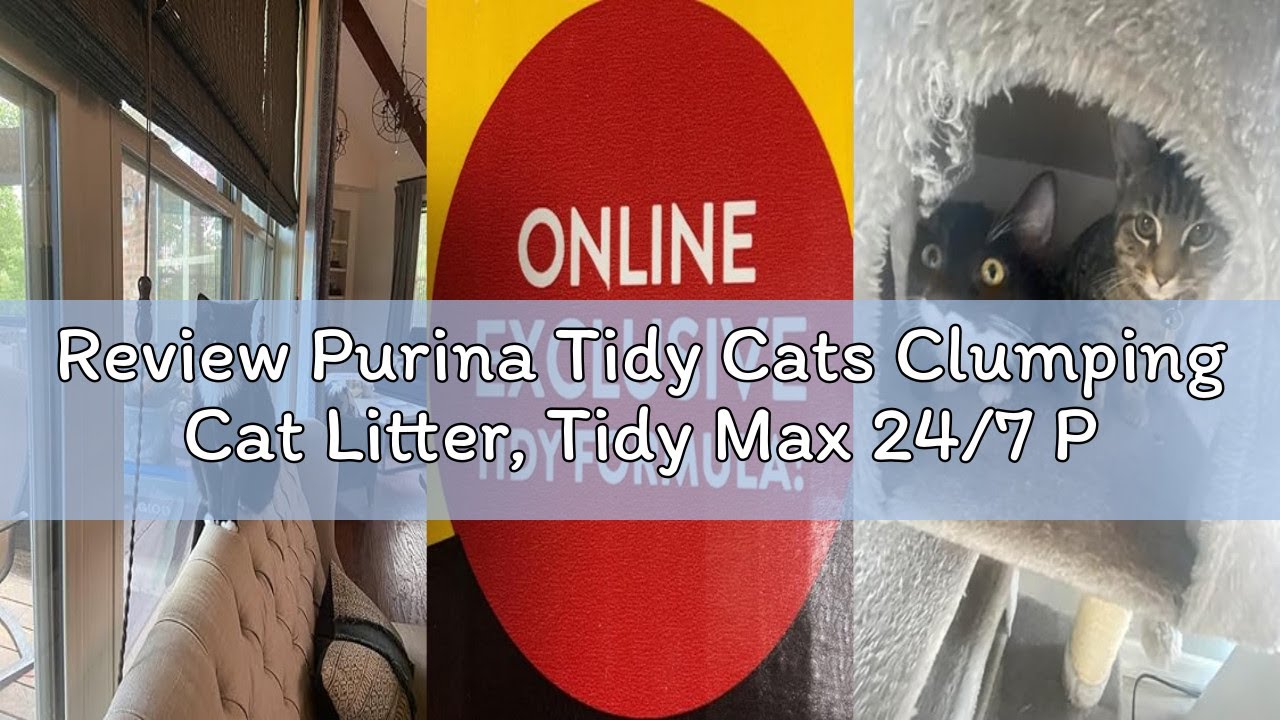 Review Purina Tidy Cats Clumping Cat Litter, Tidy Max 24/7 Performance Multi Cat Litter - 38 lb. Box