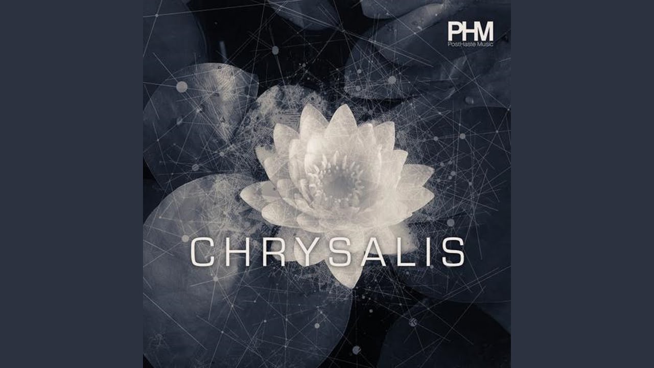 Bounding Flight adlı videoyu YouTube'da izle Bounding Flight adlı videoyu YouTube'da izle