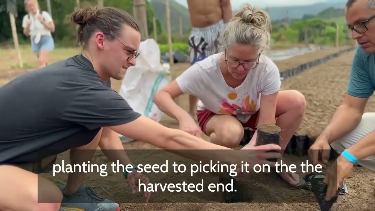 Chapter 5. The Nursery, Grounds For Thought Coffee Adventures. ​Teruel, Huila Colombia. 2023.