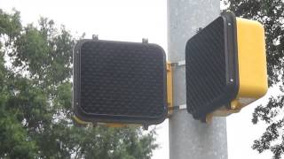 Malfunctioning McCain Countdown Pedestrian Signal