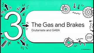 NEURO Week 1 Advanced Neurotransmission & the ANS