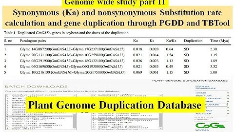 Genome wide study Part 11 | synonym Ka Ks value calculation using PGDD and TBTool | gene duplication