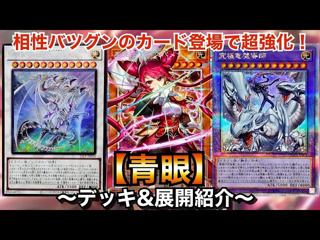 遊戯王デッキ　青眼の白龍　ガチ構築　ローズパメラ採用 Yu-Gi-Oh!] Massive Power-Up with the Perfect Synergy of Rose