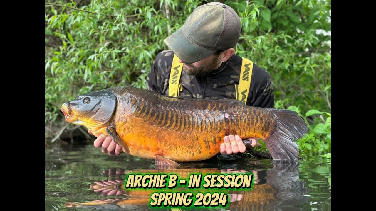 Archie B - In Session (Spring 2024)