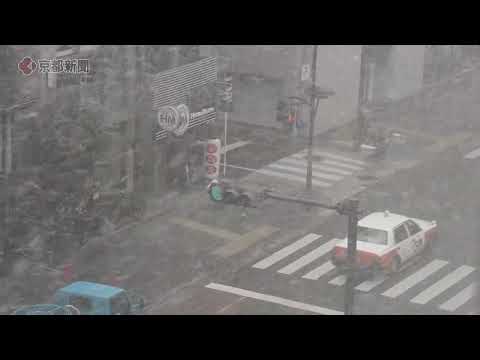 【京都の雪】京都市中心部の烏丸通で強い雪(2025年2月5日) Snow fell in central Kyoto