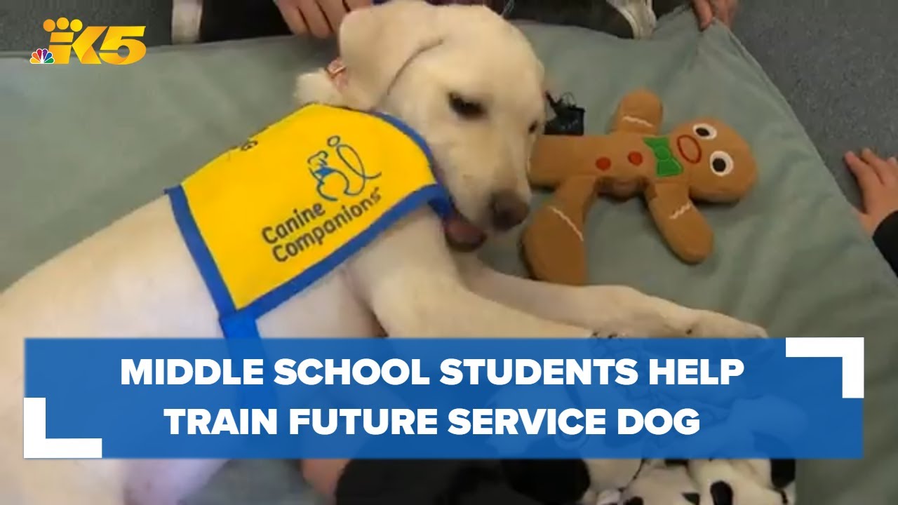 Lakes Stevens Middle School students help train puppy to be a future ...